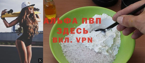 стаф Богданович