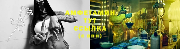 твердый Богородицк