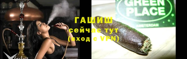 стаф Богданович