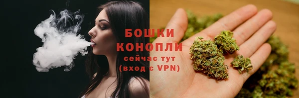 стаф Богданович
