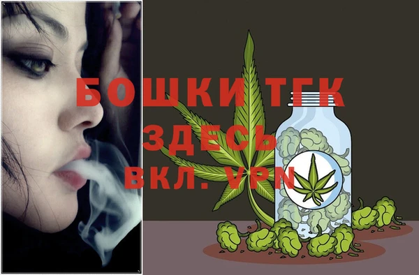 твердый Богородицк